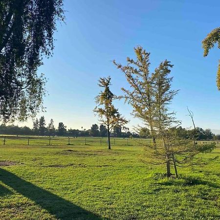 Hidden Gem La 2Bd House With Dreamy Backyard Vila Los Angeles Exterior foto