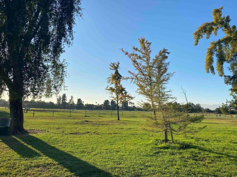 Hidden Gem La 2Bd House With Dreamy Backyard Vila Los Angeles Exterior foto